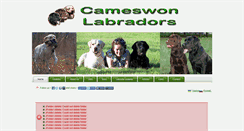 Desktop Screenshot of cameswon.com